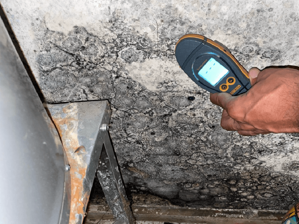 Columbia,South Carolina Damage Restoration Company